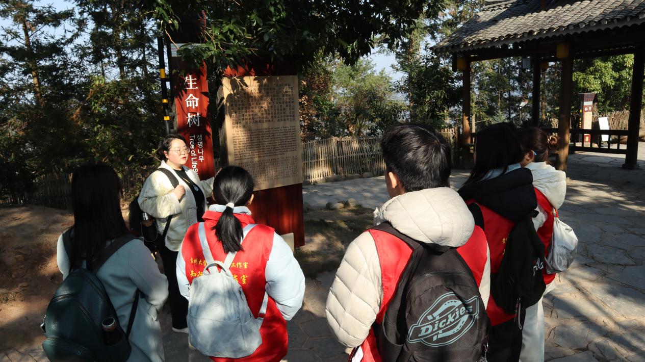 文档图片