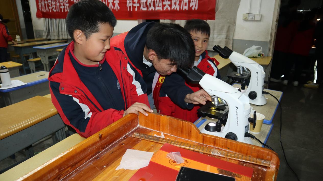 文档图片