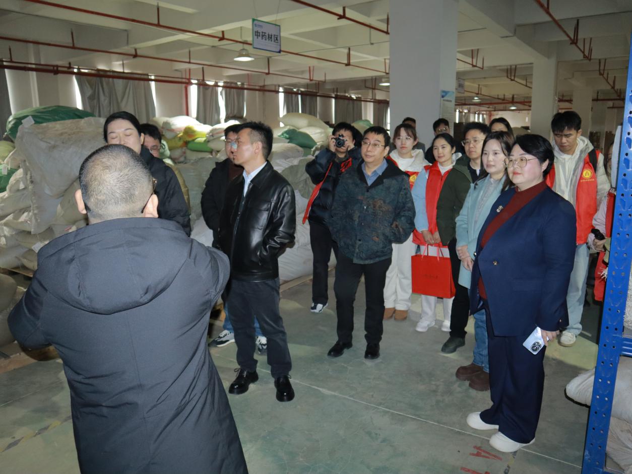 文档图片