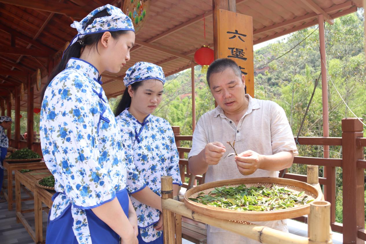 文档图片