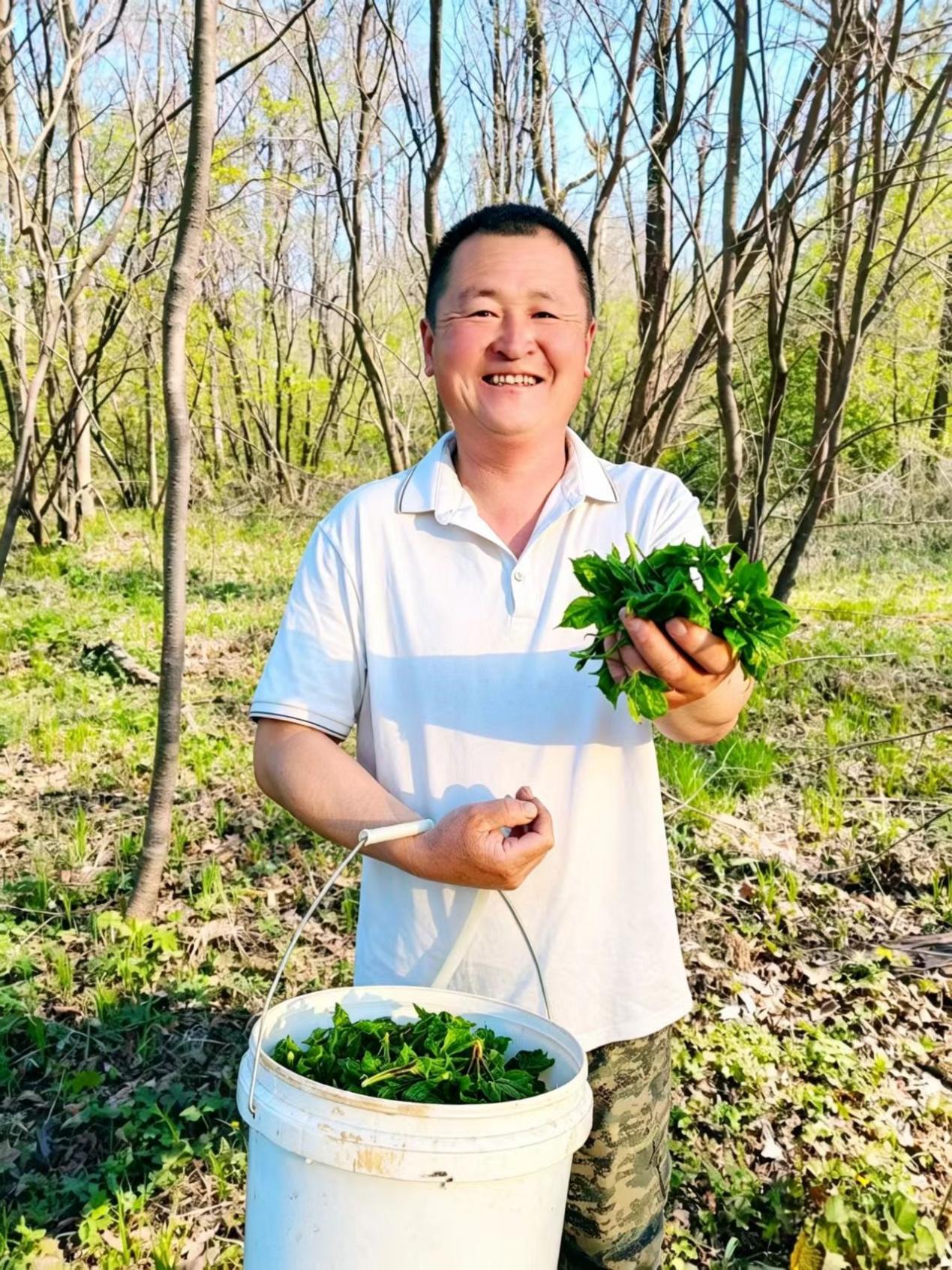 文档图片