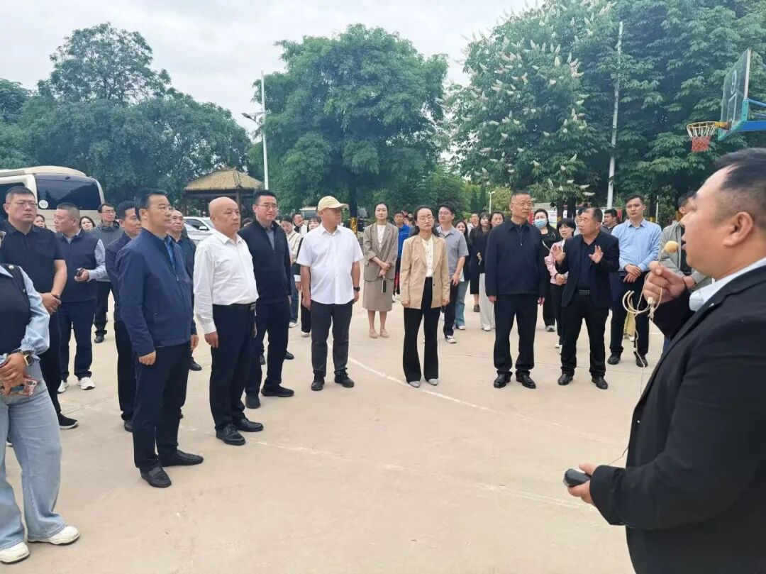 文档图片