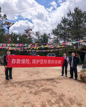 文档图片