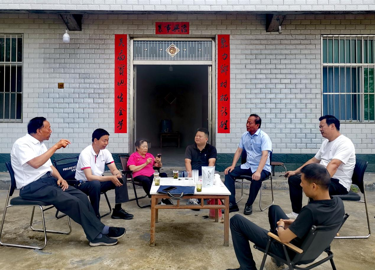 文档图片