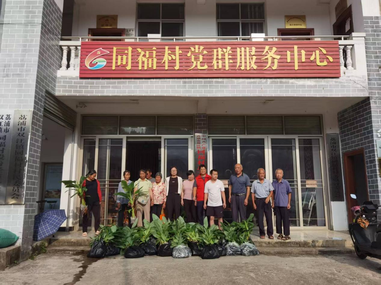 文档图片
