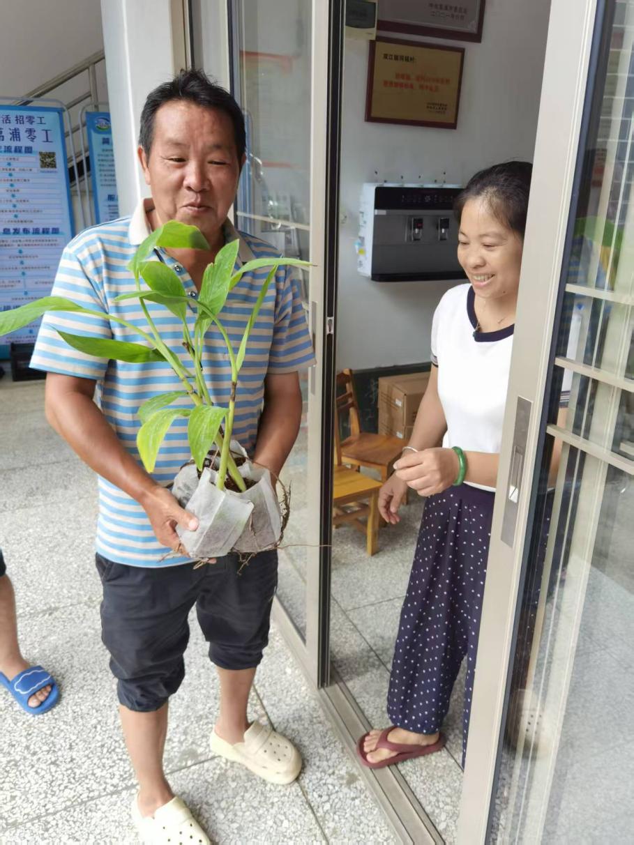 文档图片